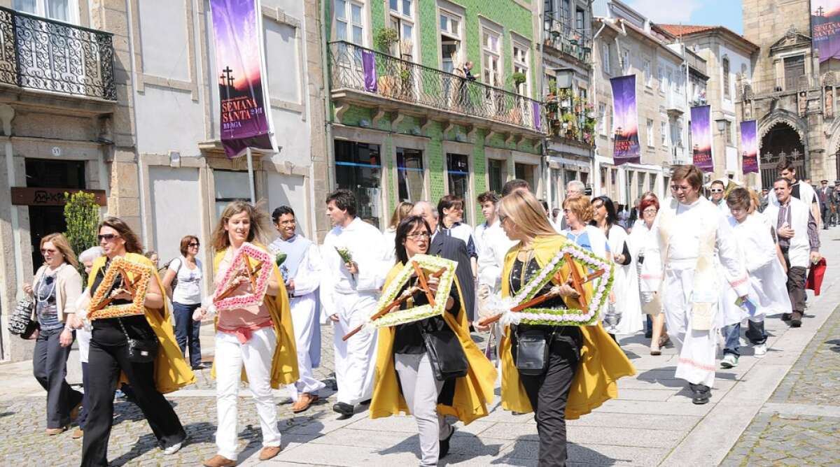 Spring flowers blooming landscape